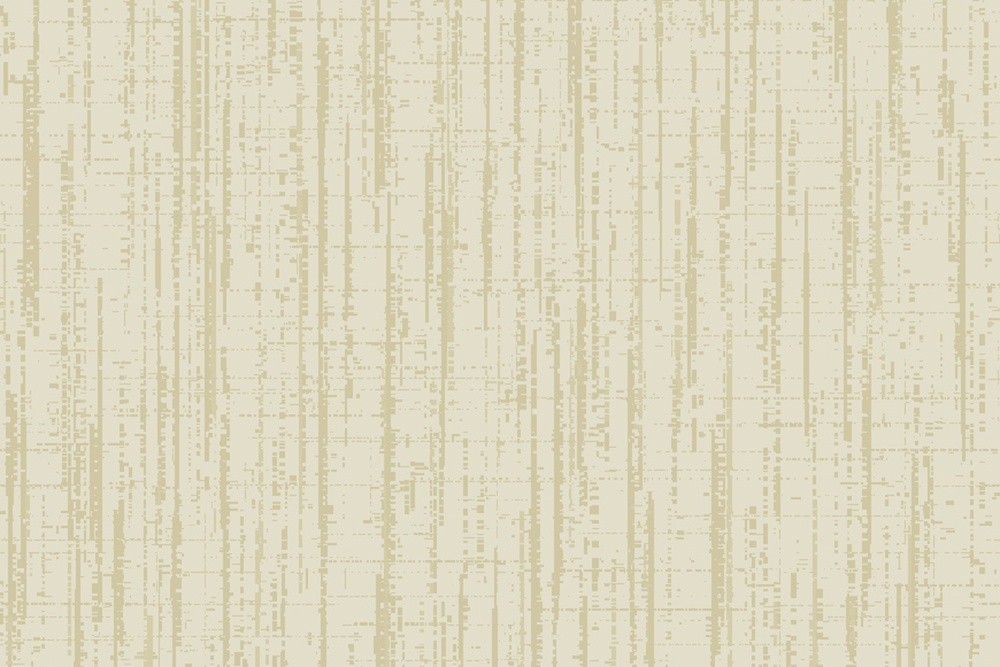 S010-01