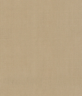 S001-06