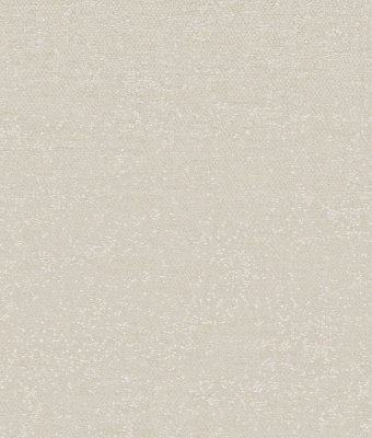 G8107-04
