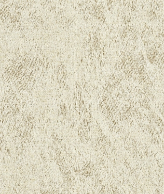 G8824-02