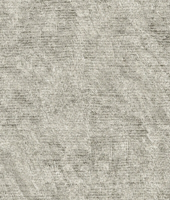 G8824-04