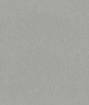 H1001-04