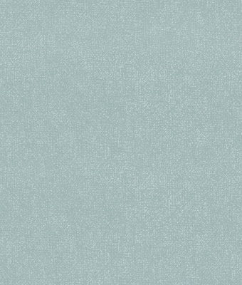 H1001-08