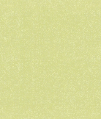 H1001-16
