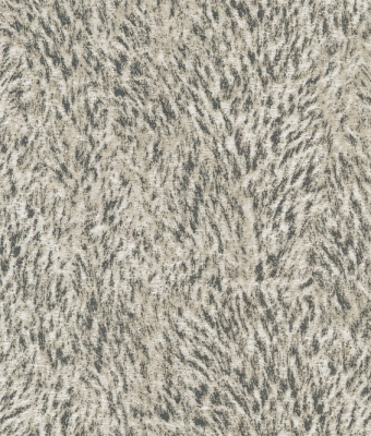 G8821-02
