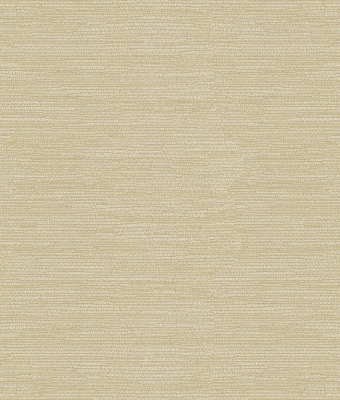 H1005-08