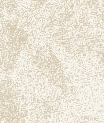 AD-91024-03