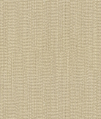 AW5602-01