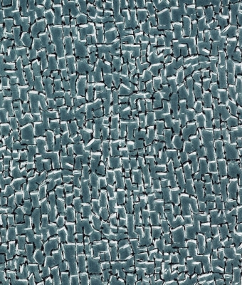 X116-04