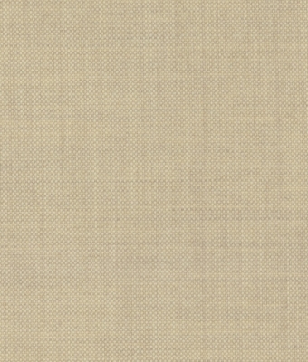 AW5606-19